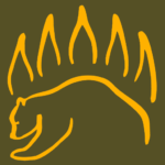 knot iq the bear essentials